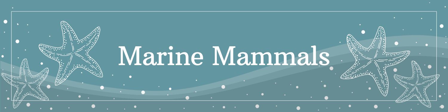 Unit 16: Marine Mammals Banner